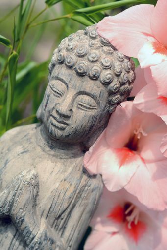 A closeup shot of the statue of Buddha with pink flowers