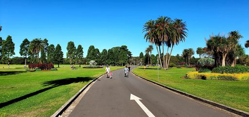 A panoramic shot of people walking on a road surrounded by trees under a blue sky
