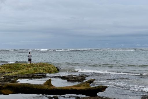 The person standing on the shore against the background of the sea.