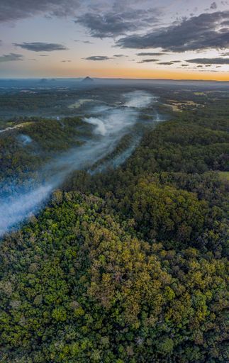 A vertical aerial shot of the green rainforest in the evening.