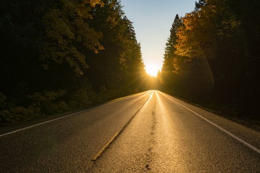 A wide shot of a road surrounded by trees with sun shining in the distance