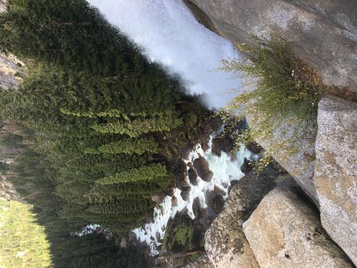 A vertical shot of a waterfall flowing down from the rocky hills into the forest