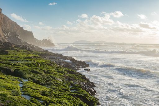 A breathtaking view of the sea and mossy coastal rocks during the daytime