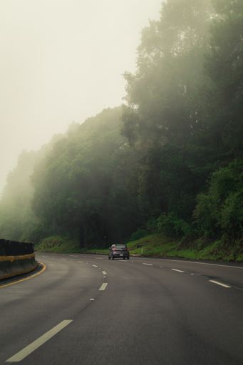 A car on the curvy highway road at the foggy green forest