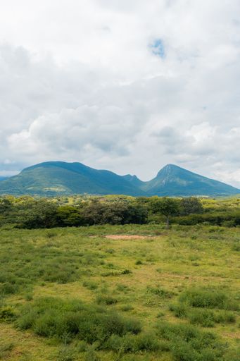 A field near the mountains on a cloudy morning