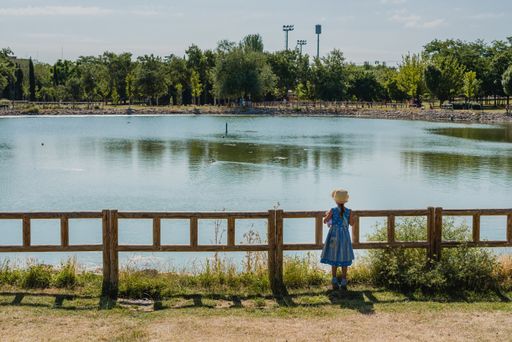 A little girl near the fence  looking at the lake reflecting the trees