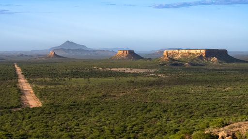 Namibia, landscape of the bush at sunrise, mountains in background