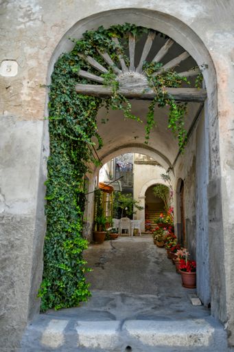 A beautiful shot of the entrance of an old house with green ivy plants on it in Puglia region, Ascoli Satriano, Italy