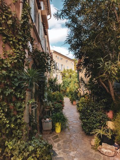A narrow alley surrounded by plants and trees near the building