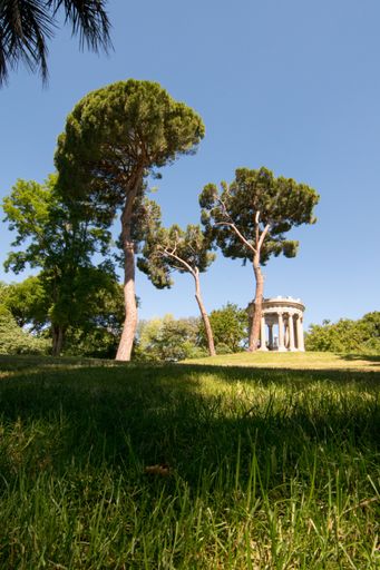 A beautiful shot of the lawn with green trees and a stone structure on the background