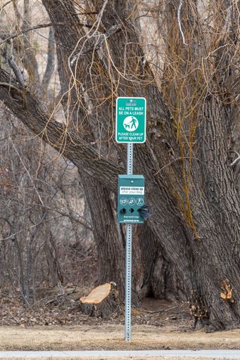 A vertical shot of a green sign with free dog waste bags in a park