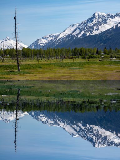 A beautiful view of Alaska snow covered mountains with greenery field at front reflecting in the water