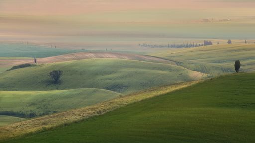 A wide shot of grassy hills with trees under a cloudy sky