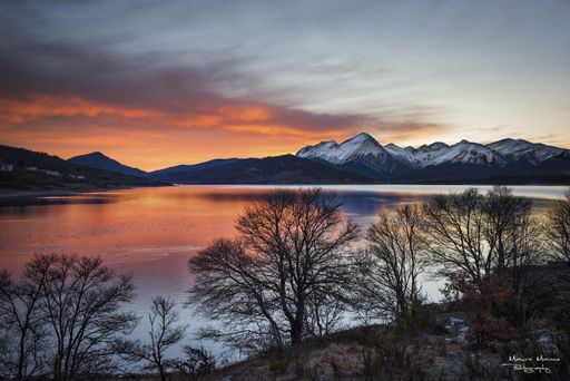A beautiful shot of leafless trees near the water with snowy mountains in the distance under a cloudy sky