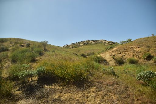 A chain of grassy hills under a clear blue sky
