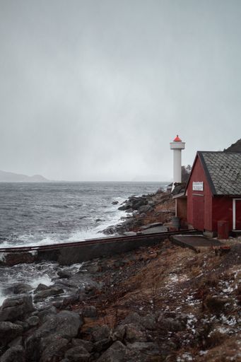 The vertical shot of taken from a seashore