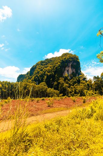A vertical shot of a pathway in the middle of a grassy field with trees and a forested mountain in the distance under a blue sky