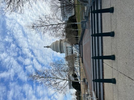 A vertical shot of the United States Capitol building in Washington, D.C.