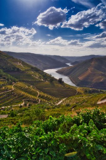 A vertical shot of River Douro near the mountains in Oporto, Portugal