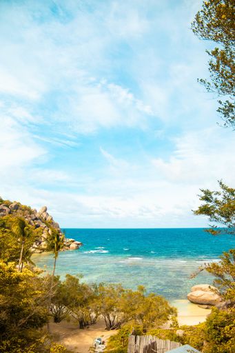 A vertical shot of seashore with trees under a blue cloudy sky