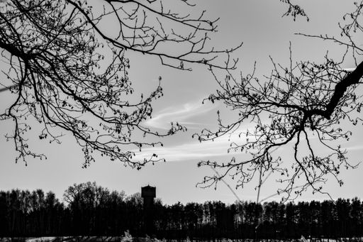 A grayscale shot of the lakeside view. Moscow, Russia