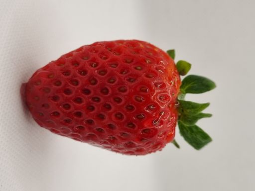 A closeup shot of a strawwberry on a gray isolated background