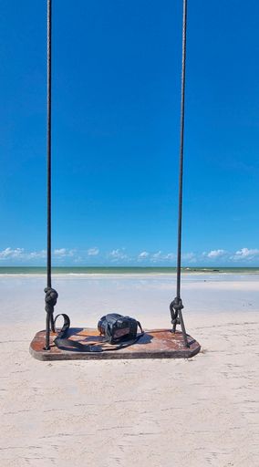 A vertical shot of a camera perched on a wooden swing on a beach