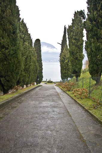 A vertical shot of a pathway in the middle of the grassy field and trees under a white sky