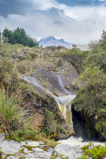 A vertical beautiful shot of a waterfall in the Cotopaxi National Park