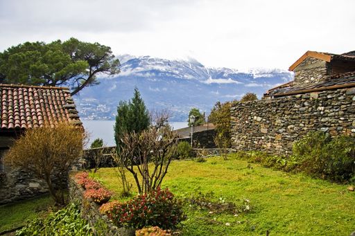 A beautiful shot of a backyard with trees and plants near a house with a mountain in the background
