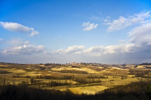 A high angle shot of a dry grassy field with trees under a blue cloudy sky at daytime