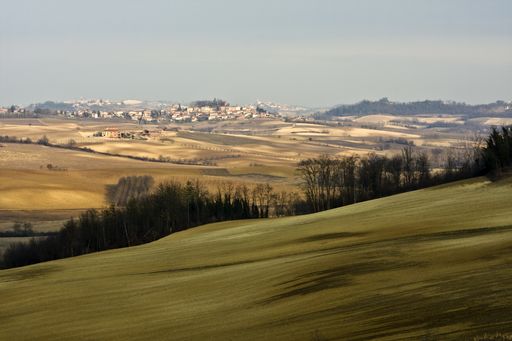 A beautiful shot of grassy hill with trees and buildings in the distance under a blue sky