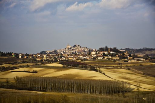 A beautiful shot of a dry grassy field with buildings in the distance under a cloudy sky