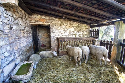 A closeup shot of sheep eating dried grass in a stone barn
