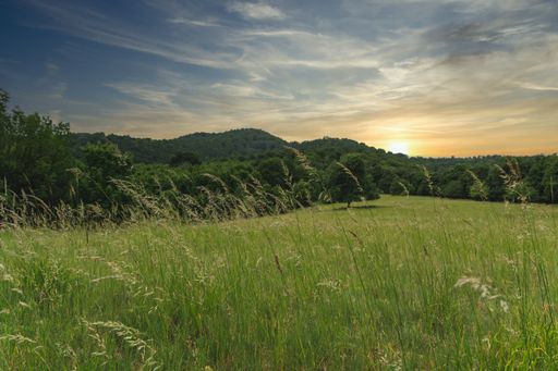The green grassy field under the sunset sky with green hills in the background