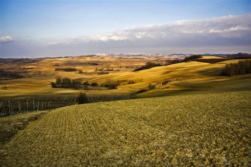 A beautiful shot of dry grassy fields with trees under a blue cloudy sky