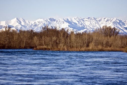 A beautiful shot of water near the shore with browned leafed trees and snowy mountains in the distance at daytime