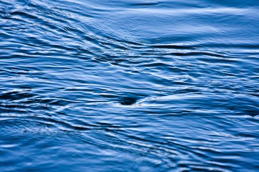 A beautiful shot of water forming a small vortex