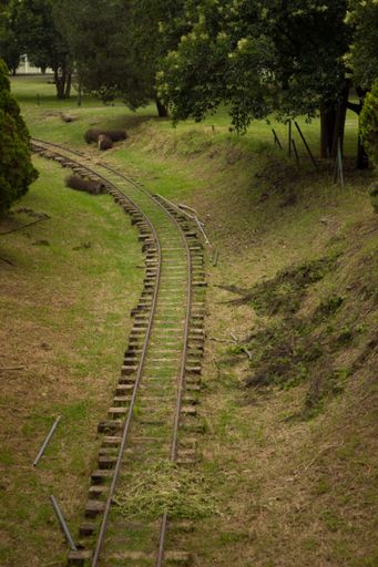 A vertical high angle shot of a track in the middle of a forest