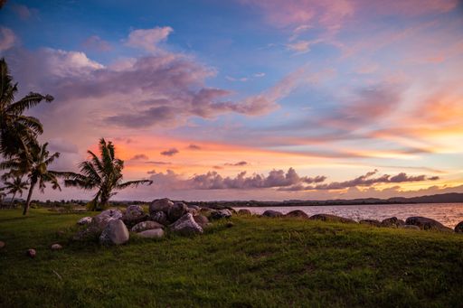 A beautiful shot of a sunset at the beach with grass and palm trees