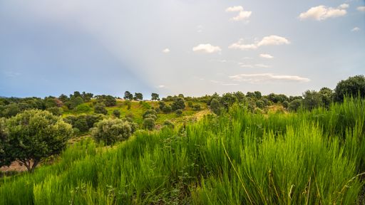 A mesmerizing shot of a beautiful green landscape under the cloudy sky