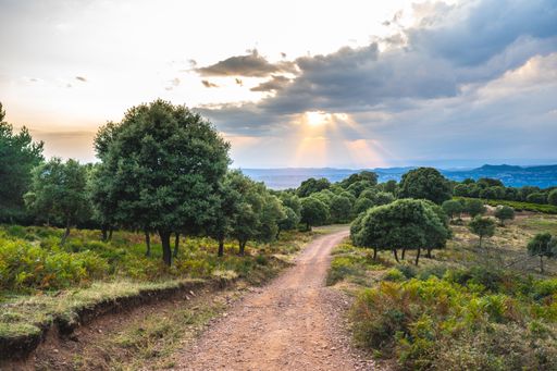 A mesmerizing shot of a beautiful green landscape under the cloudy sky