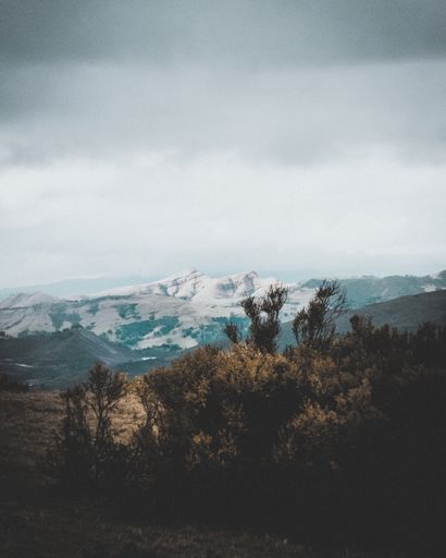 A vertical shot of trees on a dry grassy field with snowy mountains in the distance under a cloudy sky