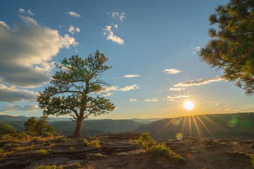 A landscape view of the mountains with trees in the foreground during sunset