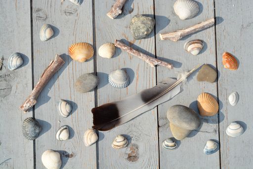 A top view high angle closeup shot of a feather, twigs, stones, seashells lying on a wooden surface