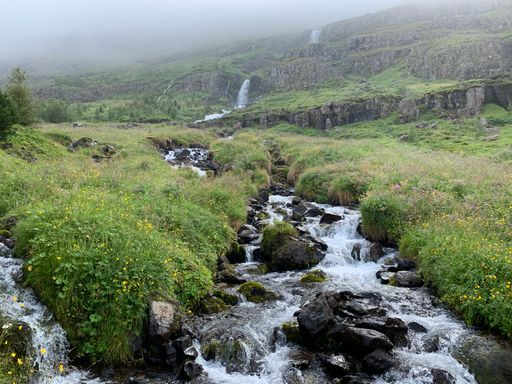 A beautiful landscape view of small creeks flowing through grass and rocks with waterfall in the background covered with fog