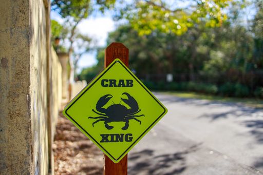 A animal Xing Sign: Crab crossing symbol