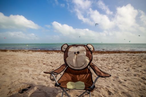 A closeup shot of a children monkey chair on a  sunny sandy beach of Miami Key Biscayne, Crandon Park