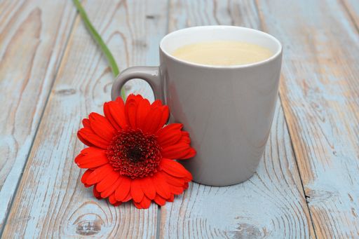 A closeup shot of a white coffee mug next to an orange Transvaal Daisy flower on a wooden surface