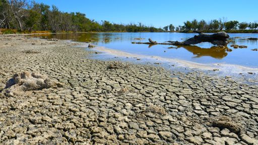 Cracked clay bank of a saline lake